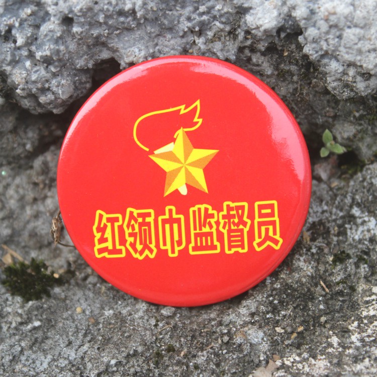 儿童徽章胸针奖励胸牌别针小学生幼儿园胸章三好学生个班干部胸针10个