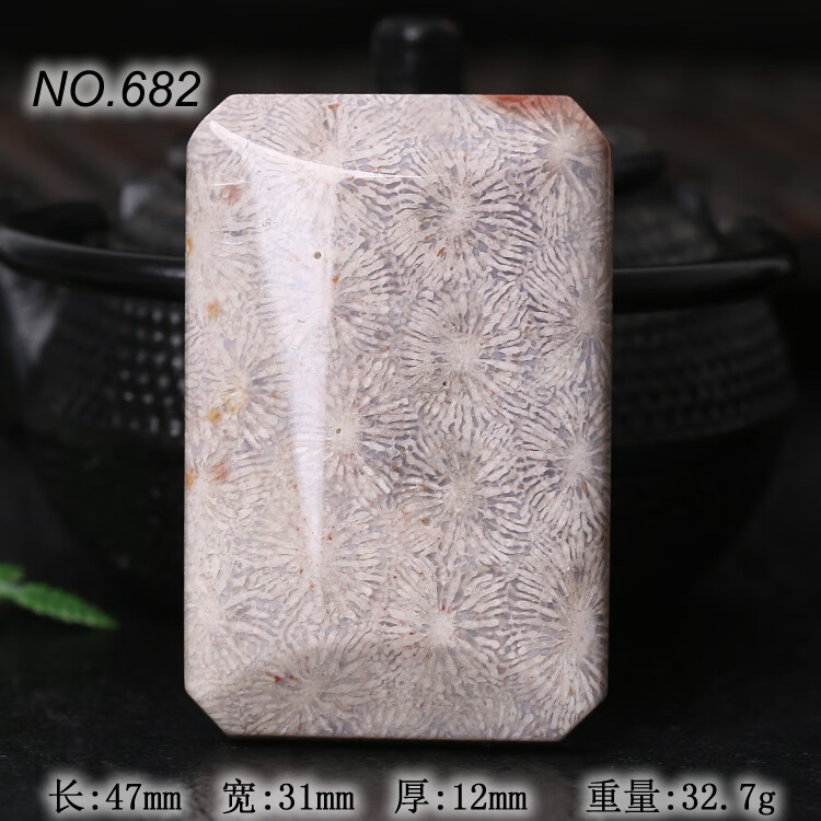 a2a538a3ac22c9e5.jpg