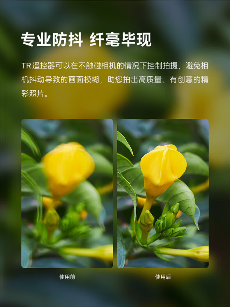 aa3b8c876ff65ee7.jpg