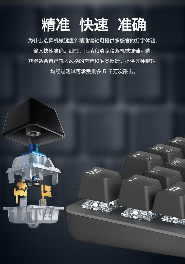 261546a2b0c69035.jpg