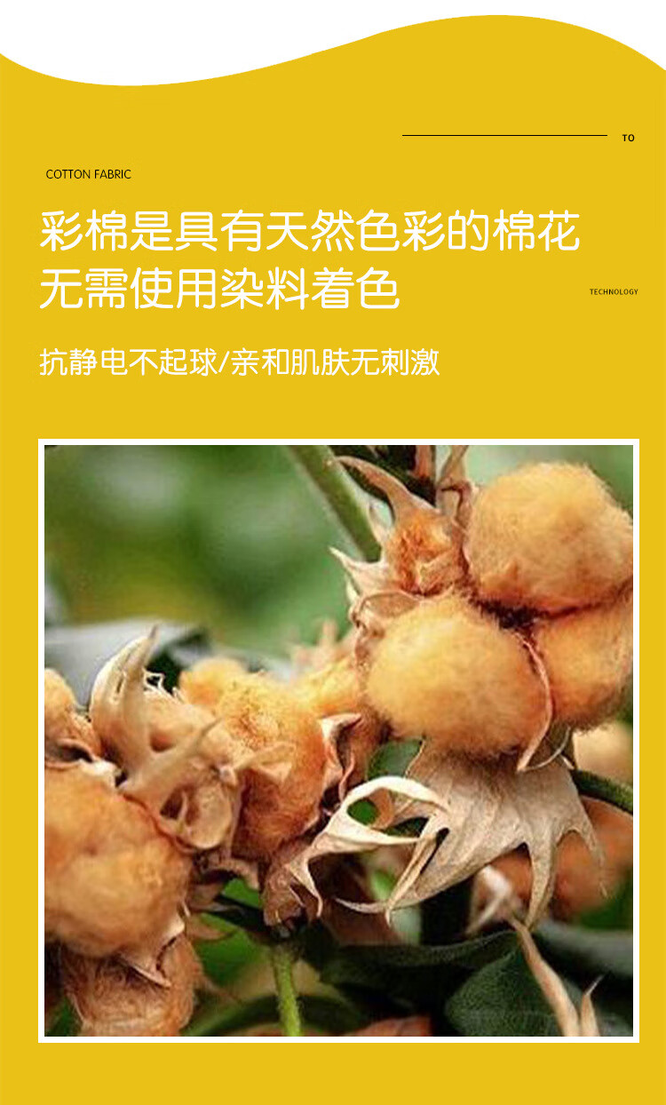 b72cba469607118f.jpg