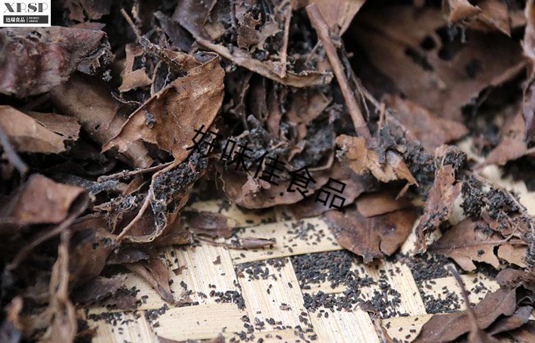 1986年纯吃六堡叶虫屎龙珠茶 虫屎茶 虫茶宝150g罐装【图片 价格 品牌