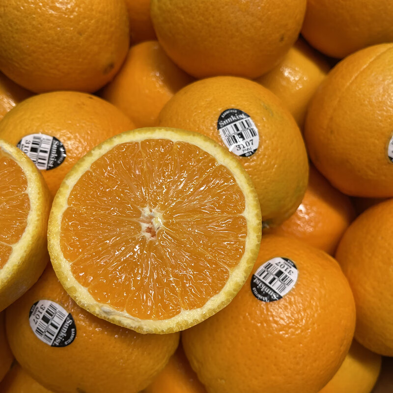味蕾乐 新货澳洲进口新奇士黑标3107橙子10只装脐橙味甜多汁农产品