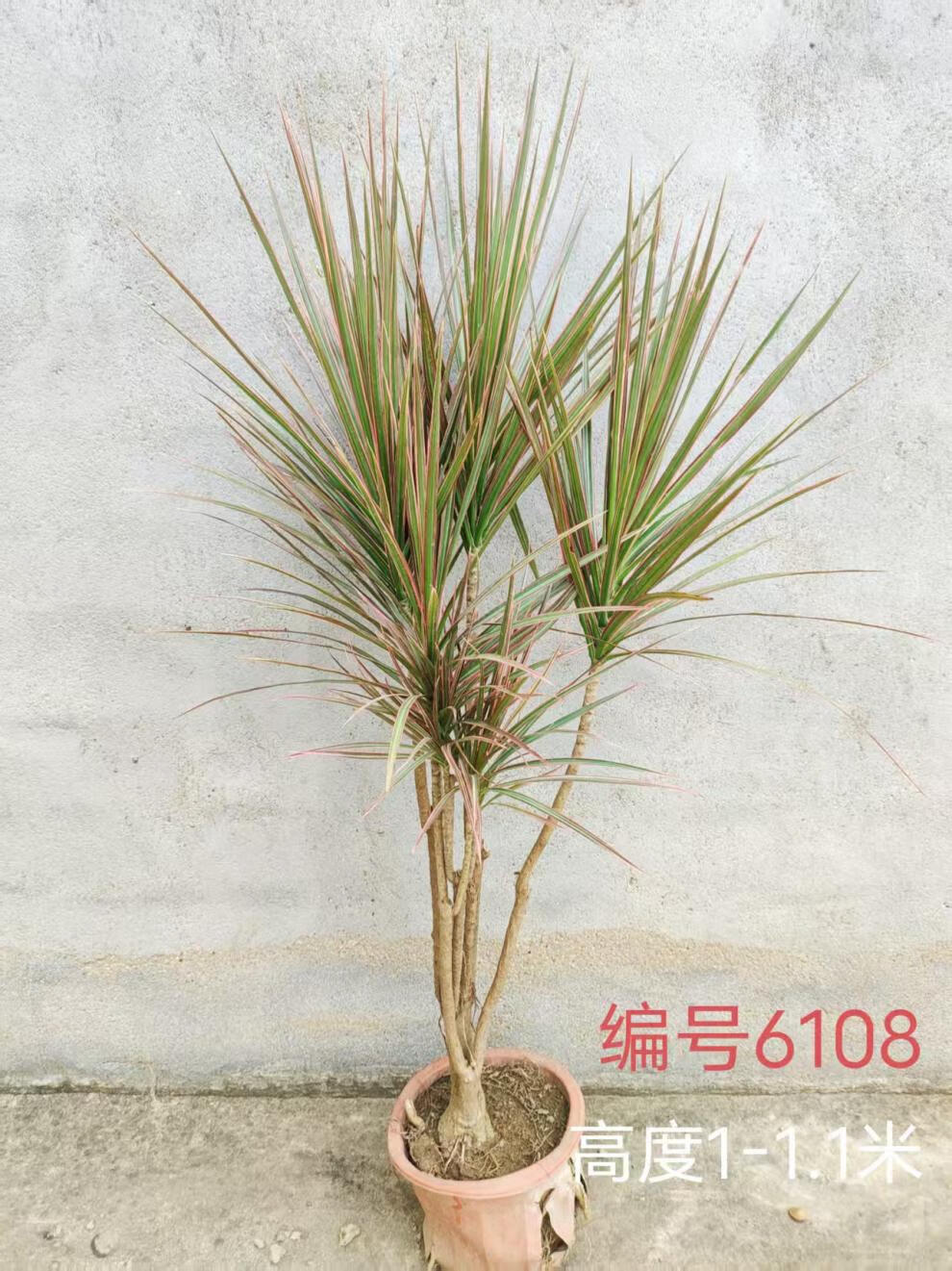 395ce3d1f4d1d698.jpg
