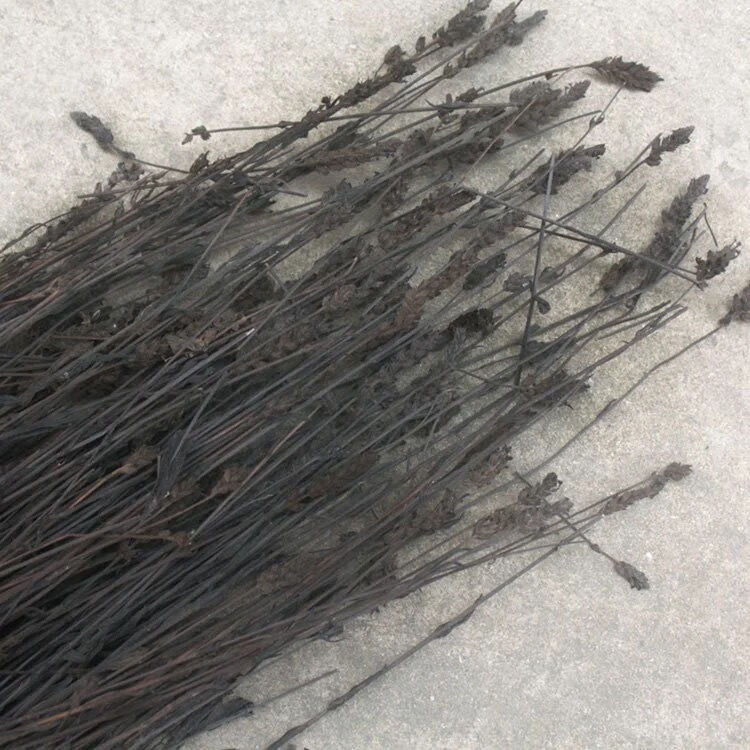 鬼羽箭新货黑草 黑马草中药材 羽箭草 黑骨草克草 500克【图片 价格