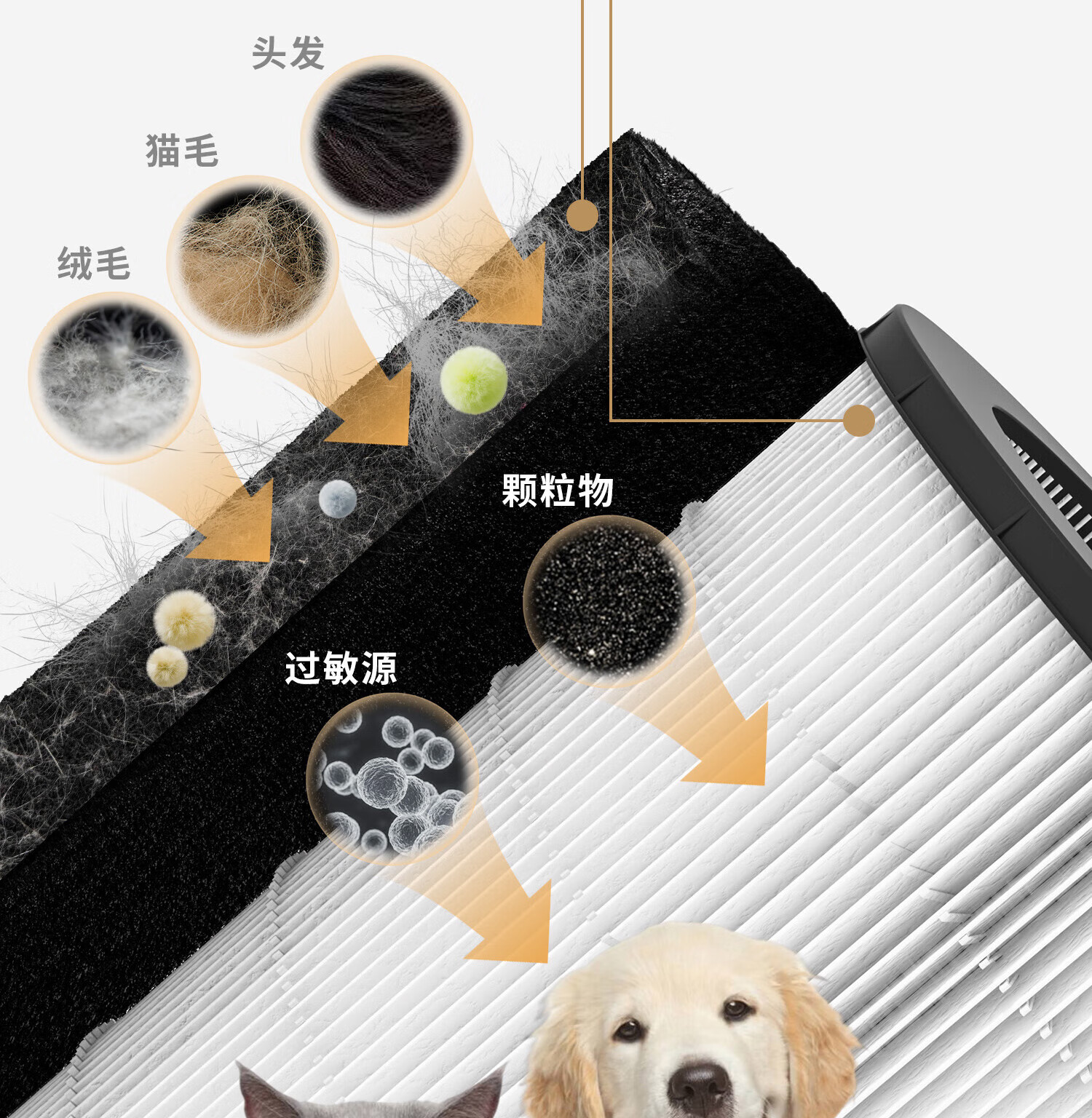 6f5a5be89c56897f.jpg