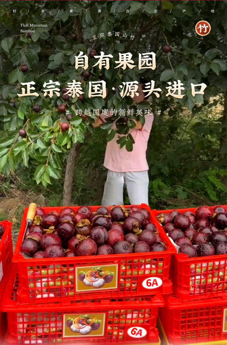 505416350ad9a576.jpg