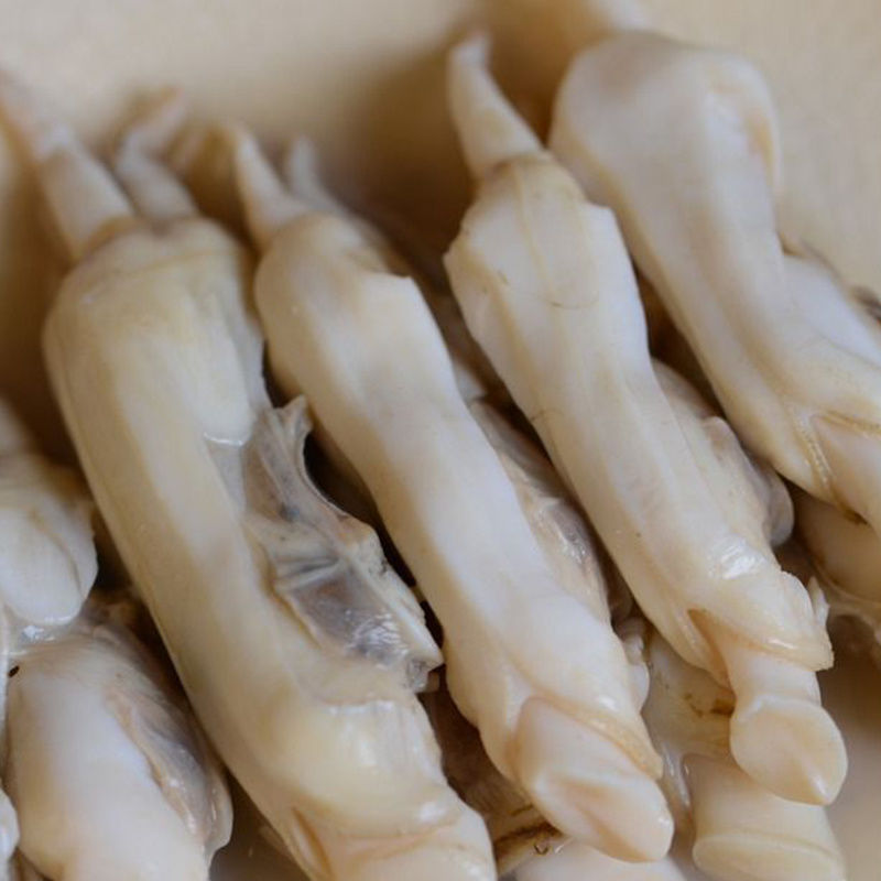 蛏子鲜活海鲜水产青岛无沙大竹节蛏活小竹蛏王特大贝类贝壳类诺斯食美