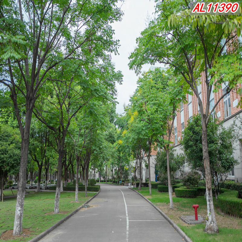 f582410bf9e0be7f.jpg