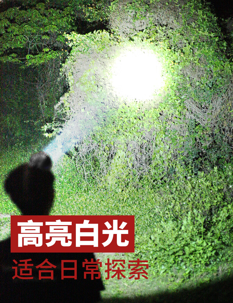 284e3325ff376abc.jpg