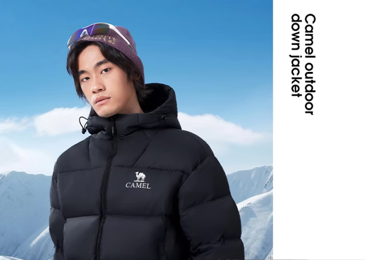 4632909022570fd0.png