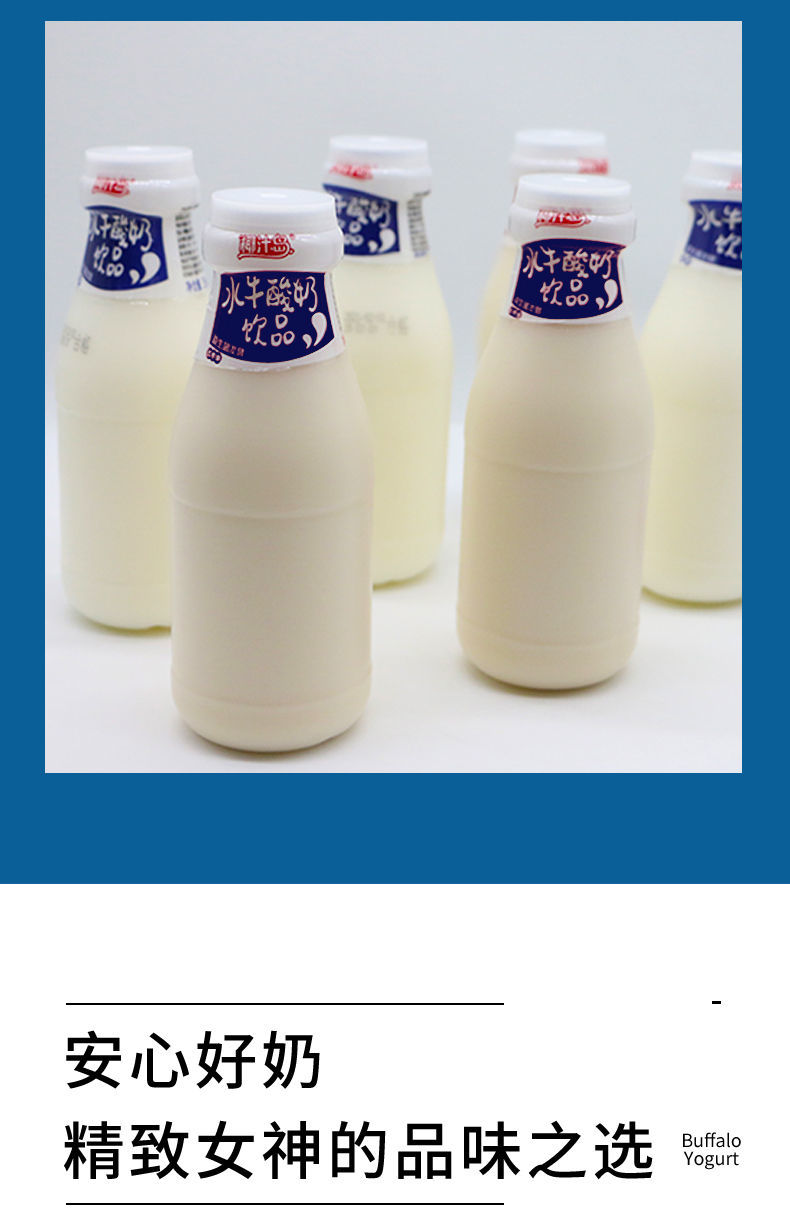 酸奶益生菌新鲜水牛酸奶益生菌发酵饮品好营养早餐多口味整箱280ml12