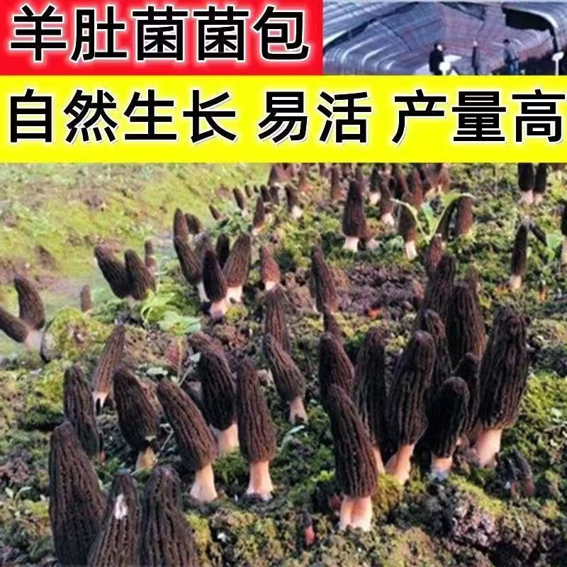 b43bd5fe-bc94-4853-9737-b1d26c0e5f10.jpe
