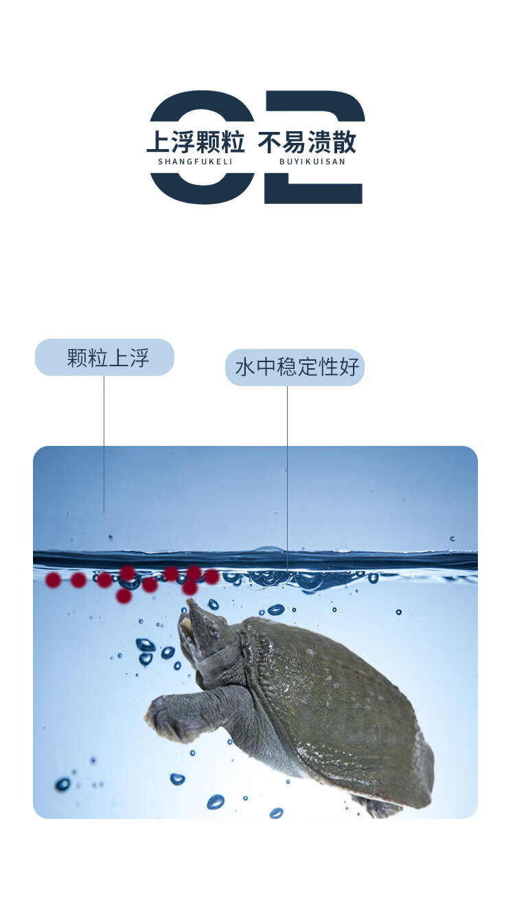 b80d39e836ddc0ff.jpg