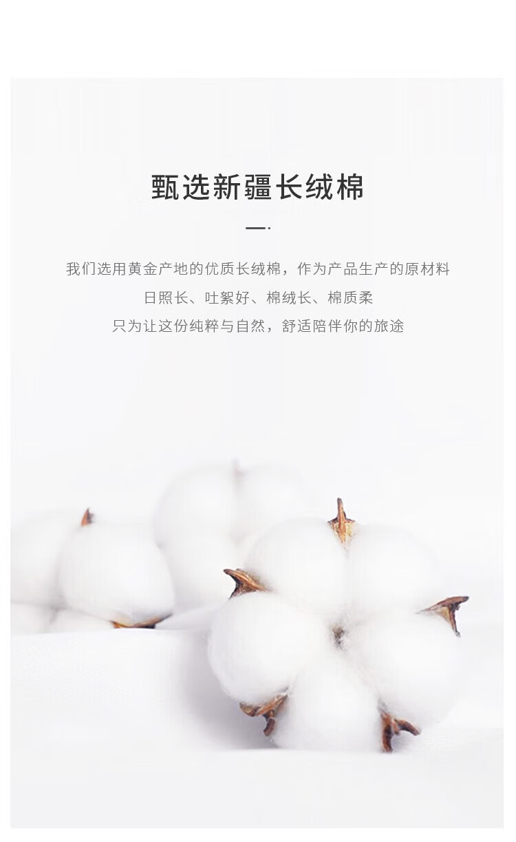 3aacf36b6b69bb81.jpg