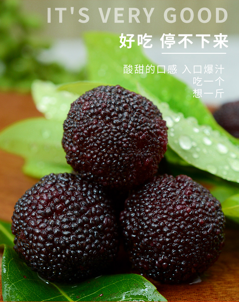 轻恋顺丰空运浮宫特早杨梅大果早梅新鲜水果空运pk仙居现摘速发3斤