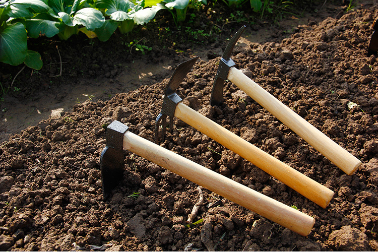 当日发货现货锄头农具家用种菜种花小锄头菜园除草户外小锄头耙子两用