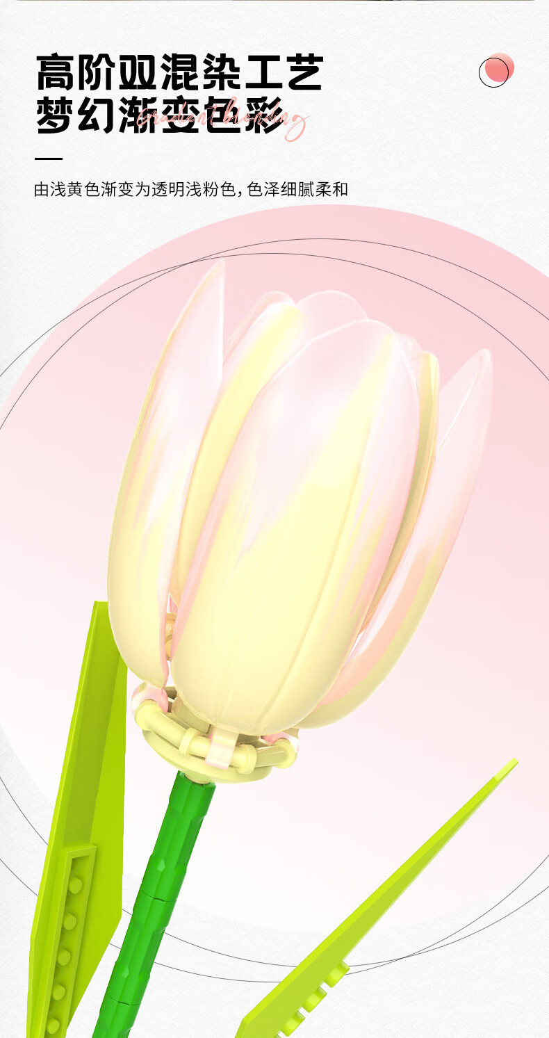 2a3d8dff68037a4f.jpg