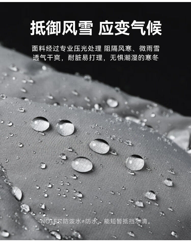 5951376abb04829c.jpg