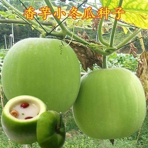 3d2499026bbba195.jpg