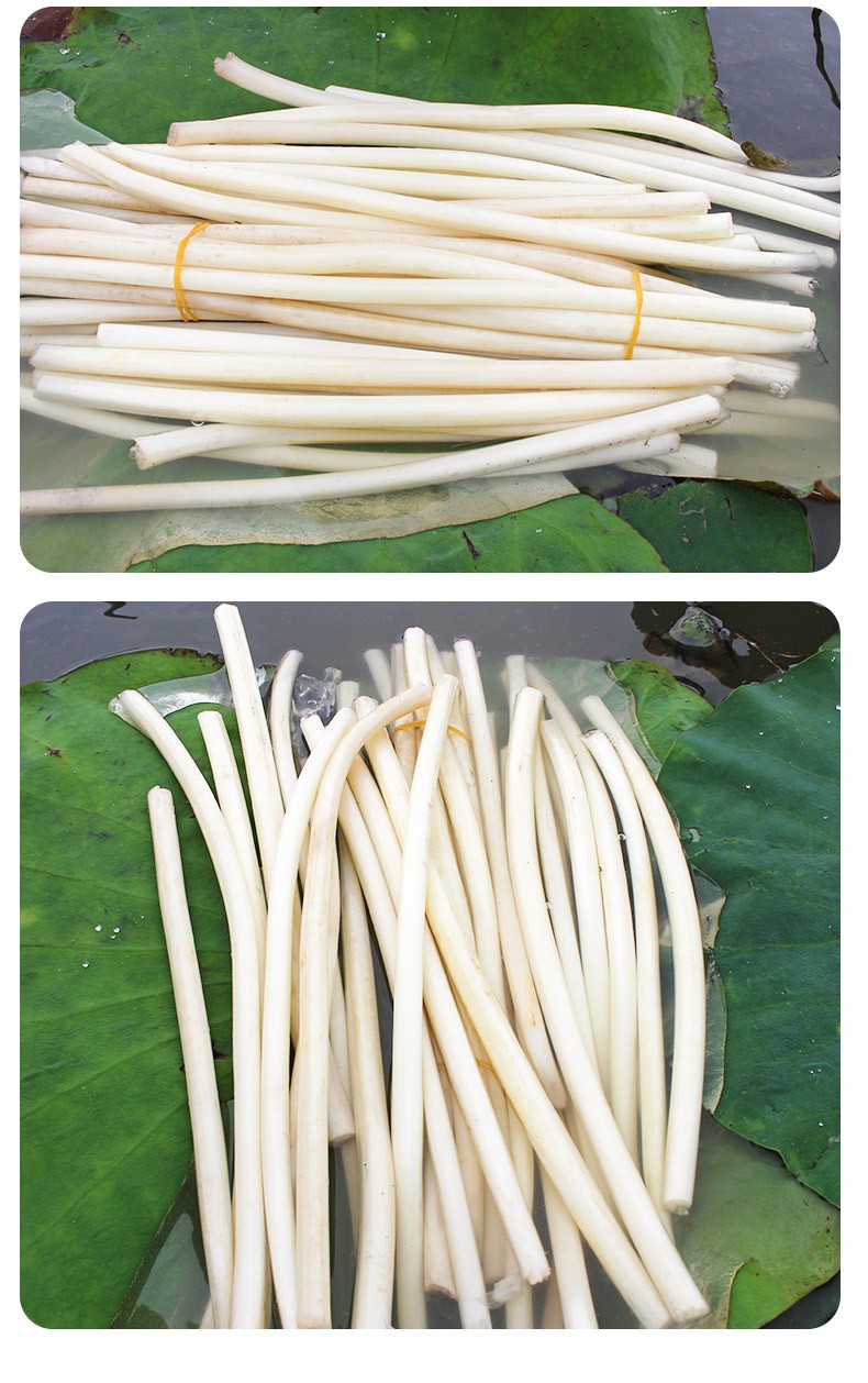 顺丰冷链只发鲜嫩处洪湖新鲜藕带湖北新鲜藕无藕尖藕肠藕带去头去尾应