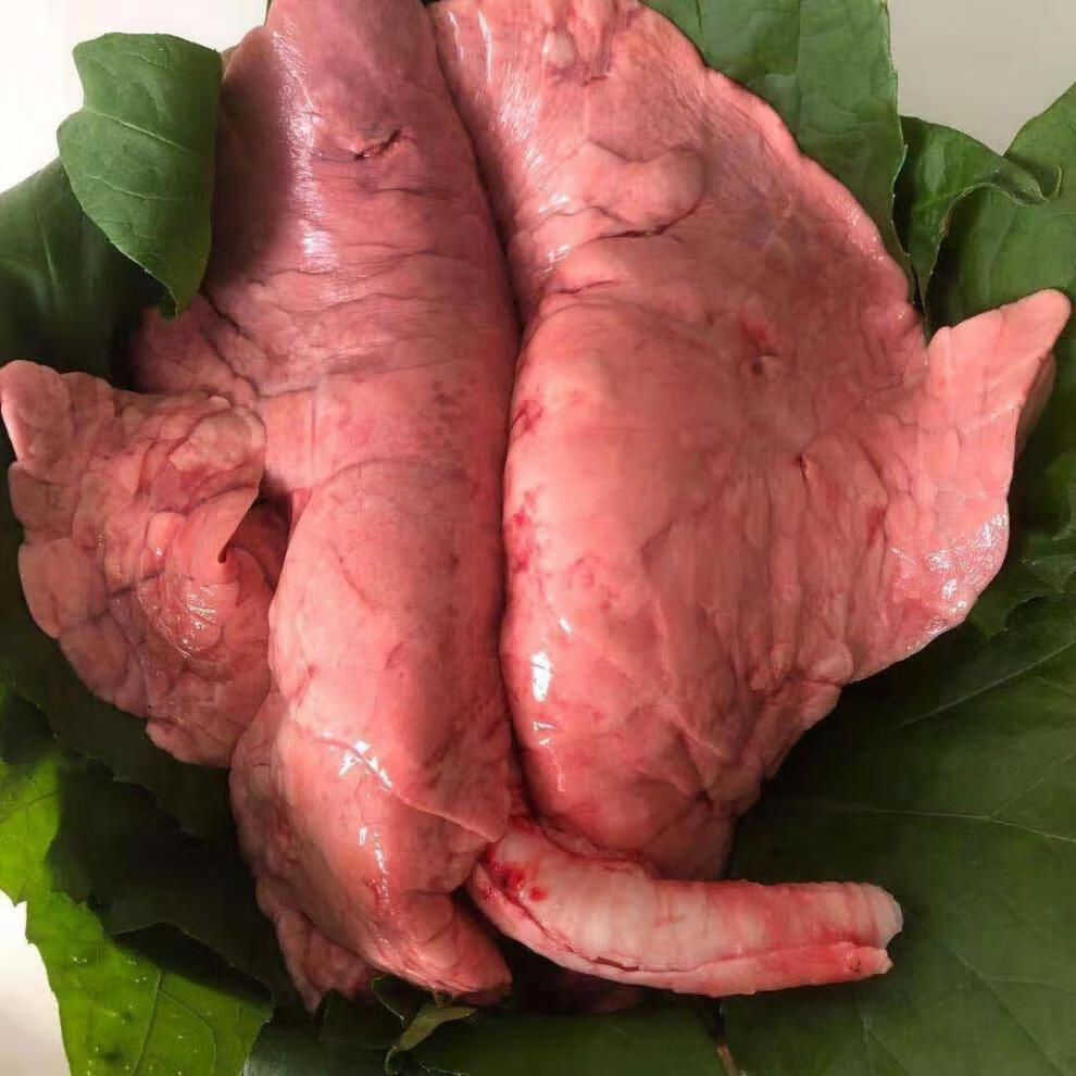 新鲜猪肺农家散养土猪猪肺猪下水猪杂猪肚 新鲜土猪肺2付4斤左右