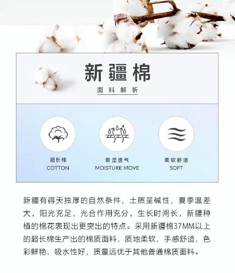 cd42ae2bdab94a1f.jpg