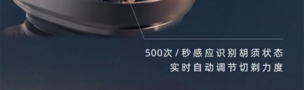 32258b46315d12bf.jpg