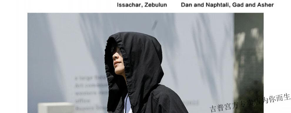 2e90d6c5386ba9f8.jpg