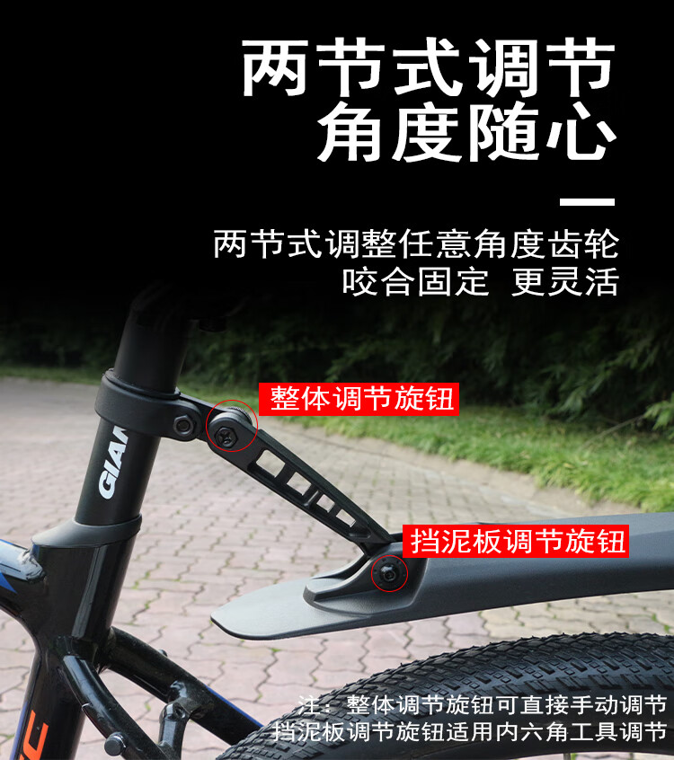 e56579ad6cddde96.jpg