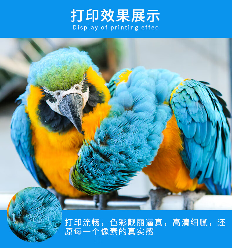0f00afc5e72a1233.jpg