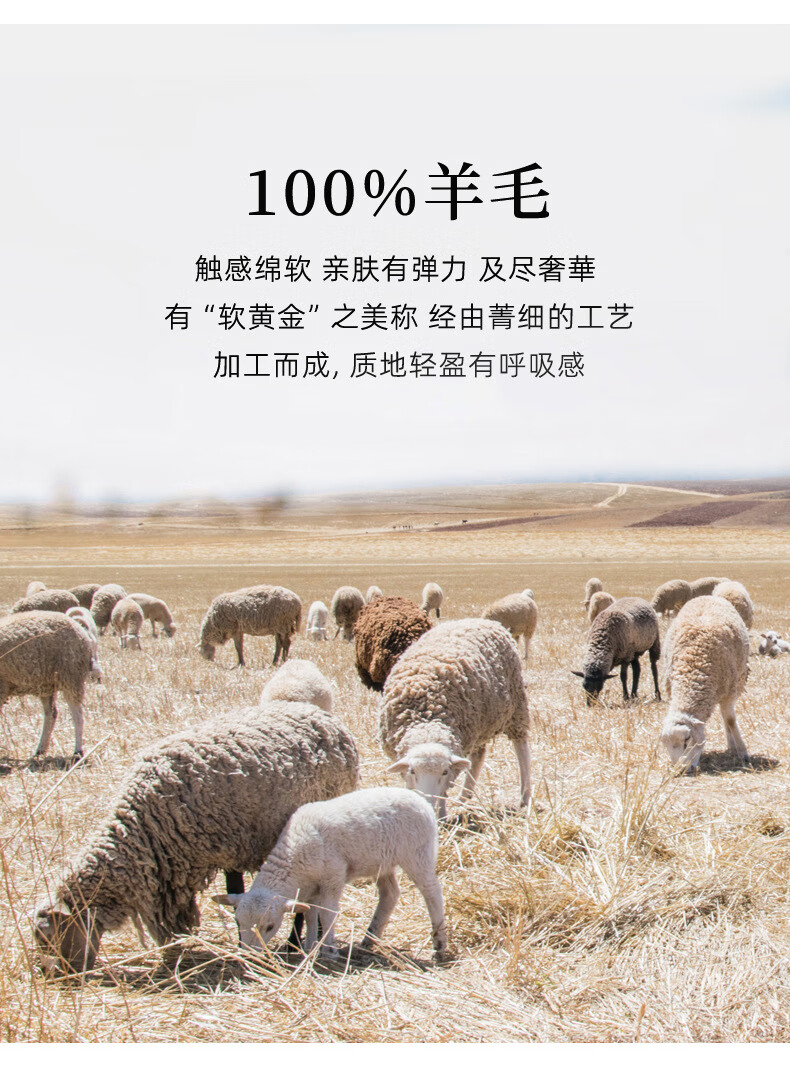 a4810a27b57e8956.jpg
