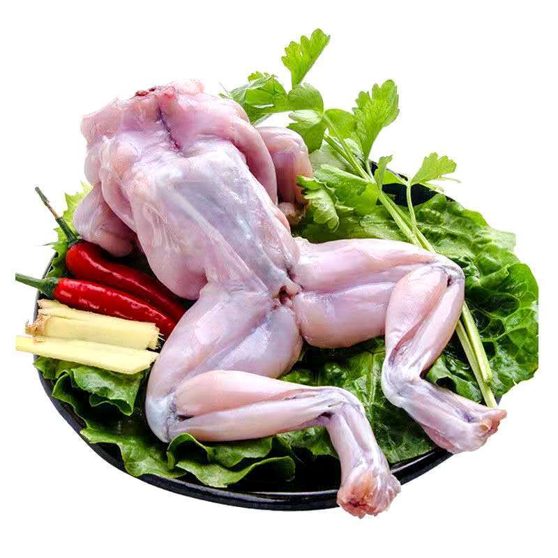鲜活鲜牛蛙肉活体速冻烧烤干锅香辣牛蛙保温箱加冰斓维品2斤装