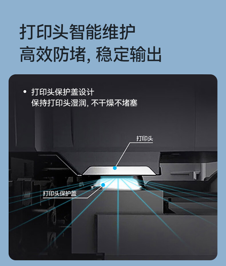 f5fd05b94fb1dec2.jpg