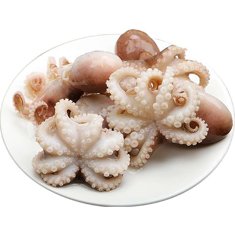 老扣 新鲜海捕短腿八爪鱼鲜活速冻迷你八爪鱼翻花小章鱼去牙去脏八爪