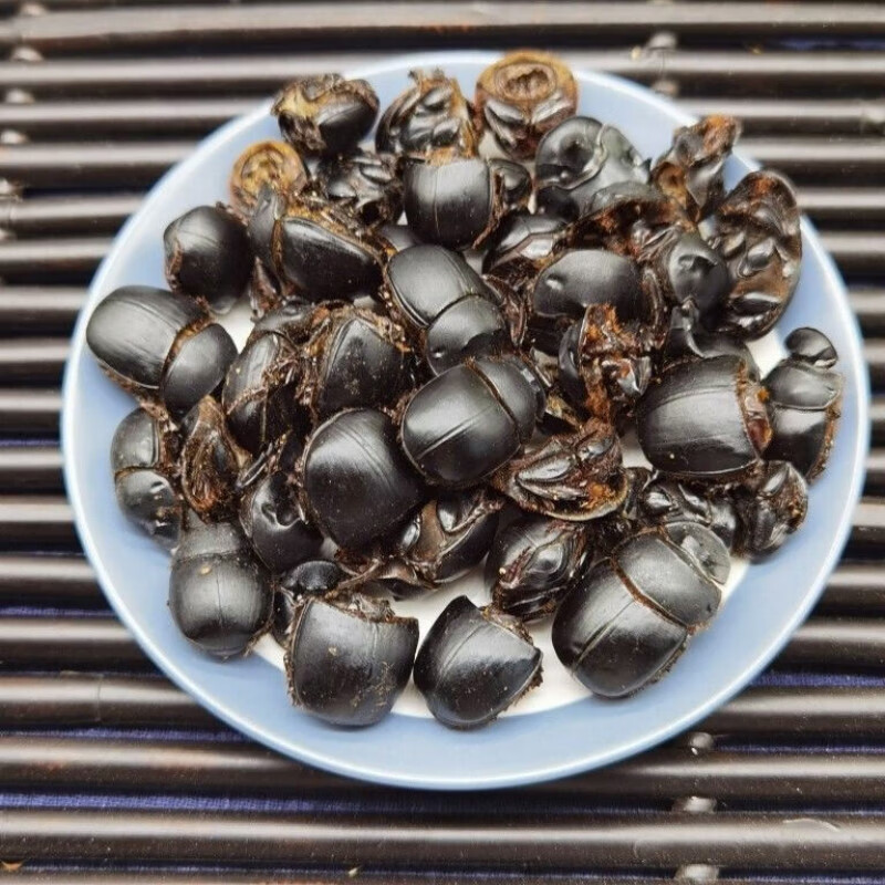 中药材 大将军 屎壳郎 蜣螂虫 推粪虫 清水干货 蜣螂 屁巴虫 大将军