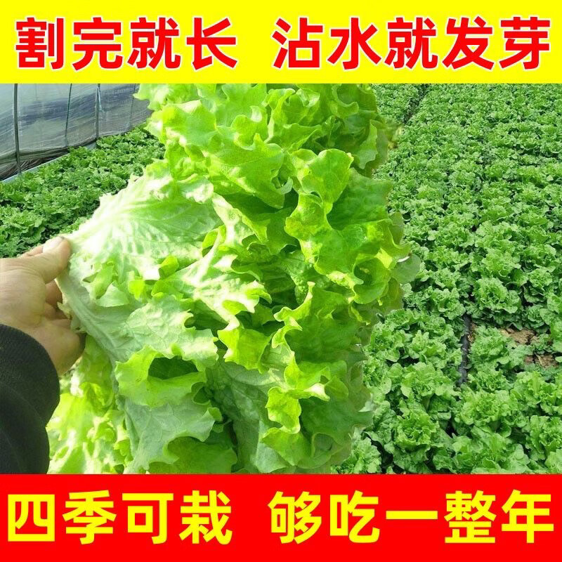 cff8e820b0562a59.jpg