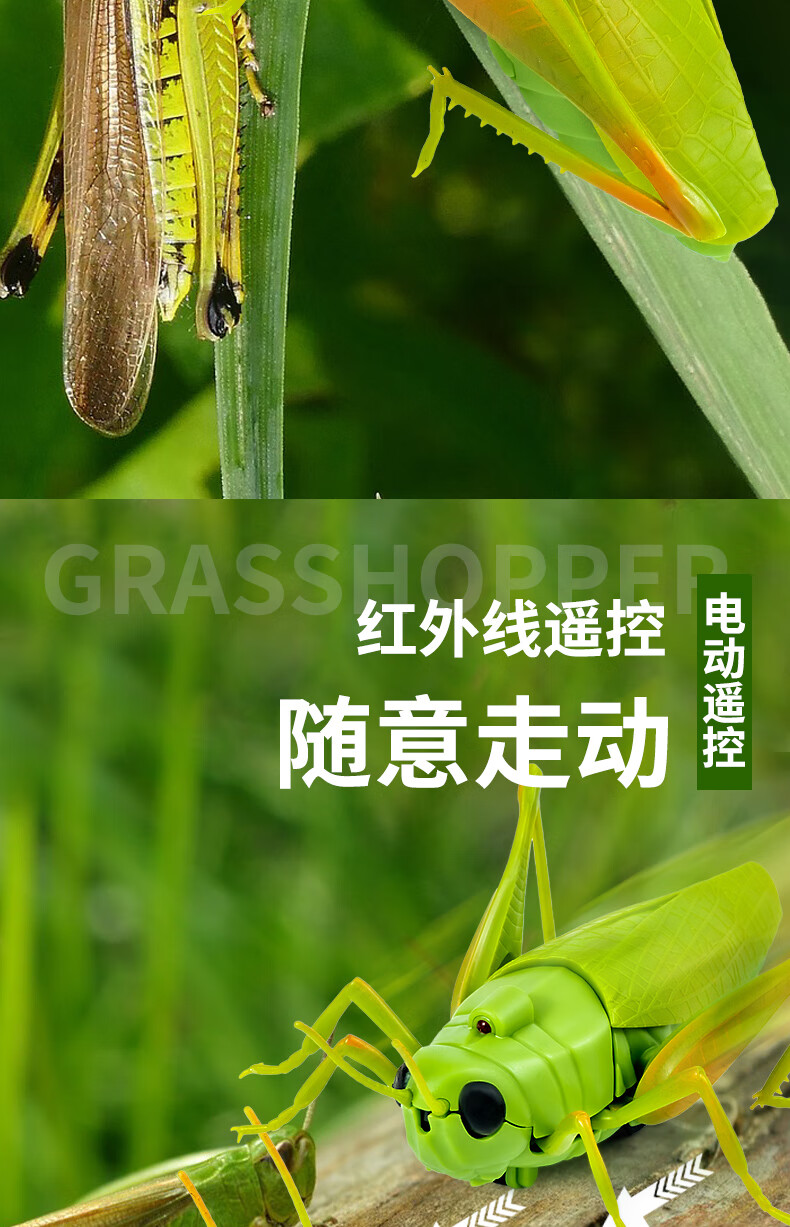 b9026b68828a8125.jpg
