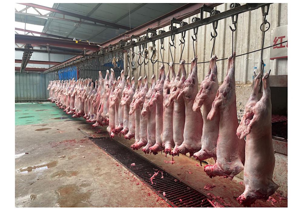 国产 羊尾油【净重/5斤装】【图片 价格 品牌 报价】-京东