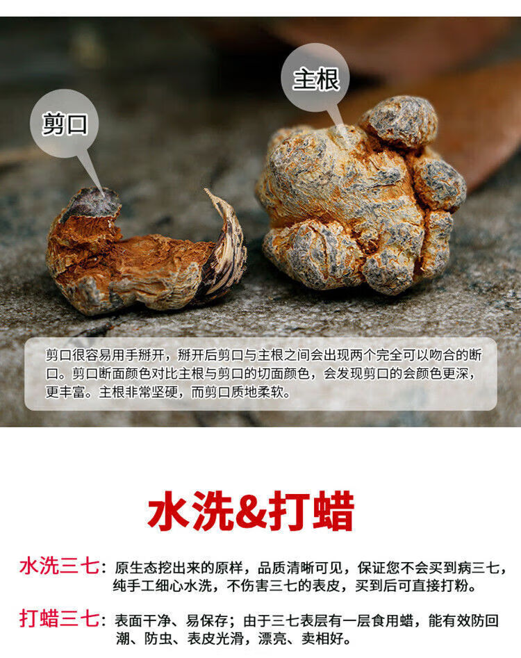724012d5cfa1dd5f.jpg.avif