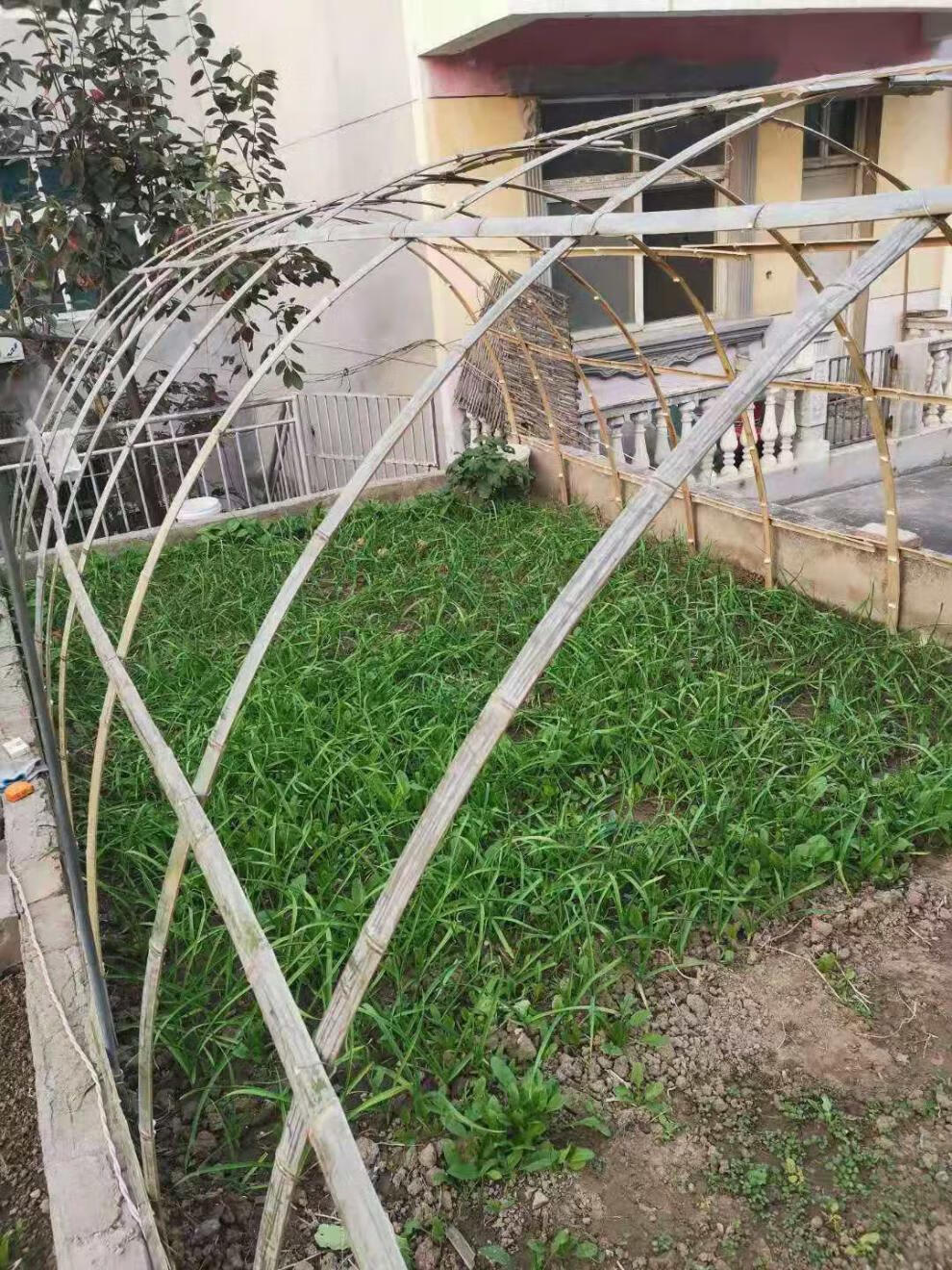 毛竹杆竹片竹条菜棚架子蔬菜大棚菜棚小拱棚竹坯子毛竹片隔断骨架竹子