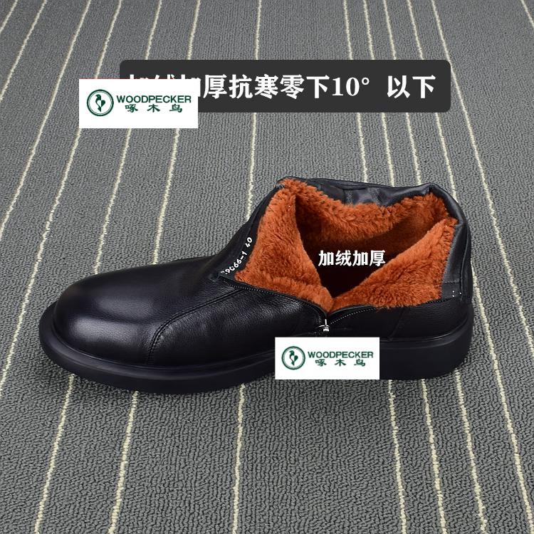 e37eeff42420f775.jpg