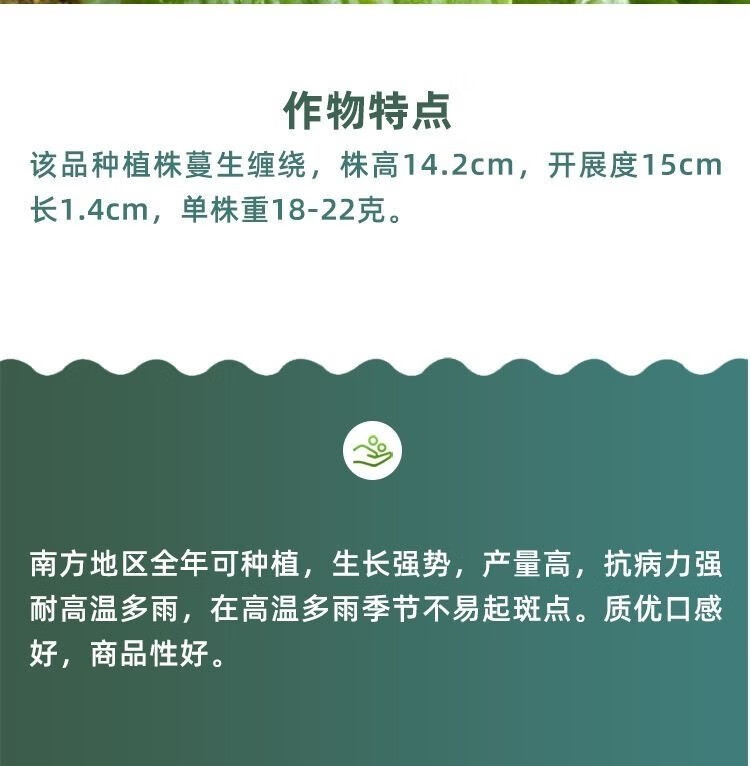 4436092a89071b3d.jpg