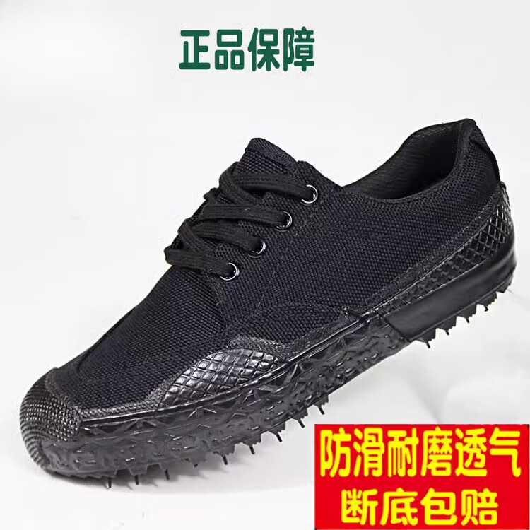 014e916808edbcc4.jpg