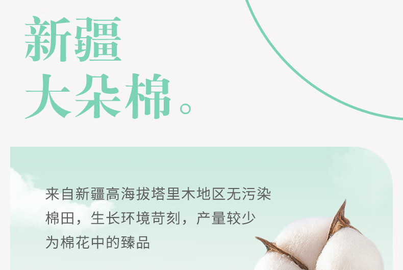 6b78537c2a90fbcc.jpg