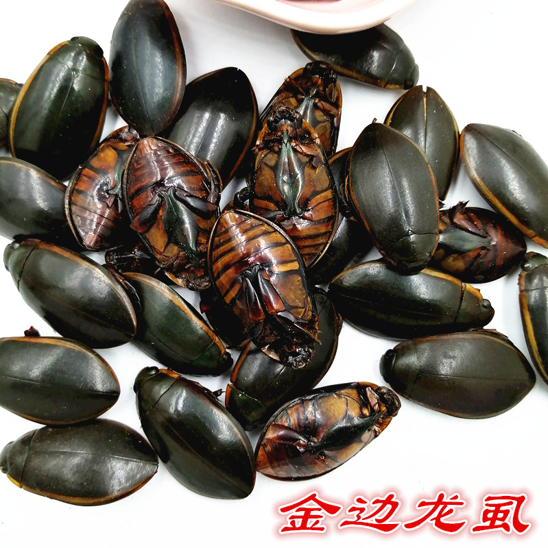 金边龙虱干货中药材250克 水蟑螂 水鳖虫 射尿龟 水龟子打粉【图片