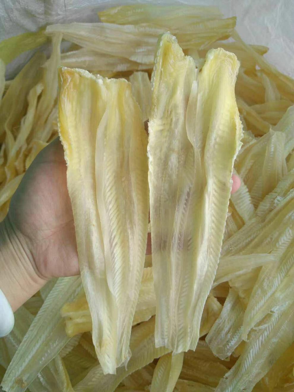 鱼唇广东湛江特产足干干货煲汤炖煮佛跳墙食材港式鱼唇50g25050克