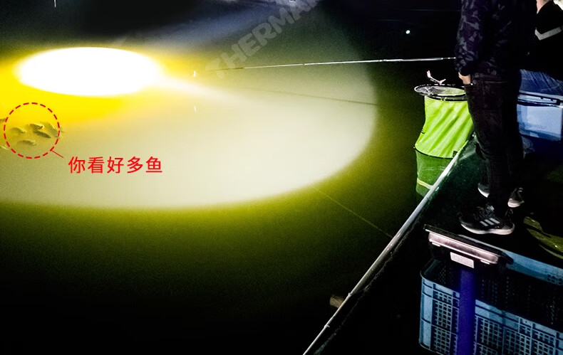 02a9ed619c9649c9.jpg