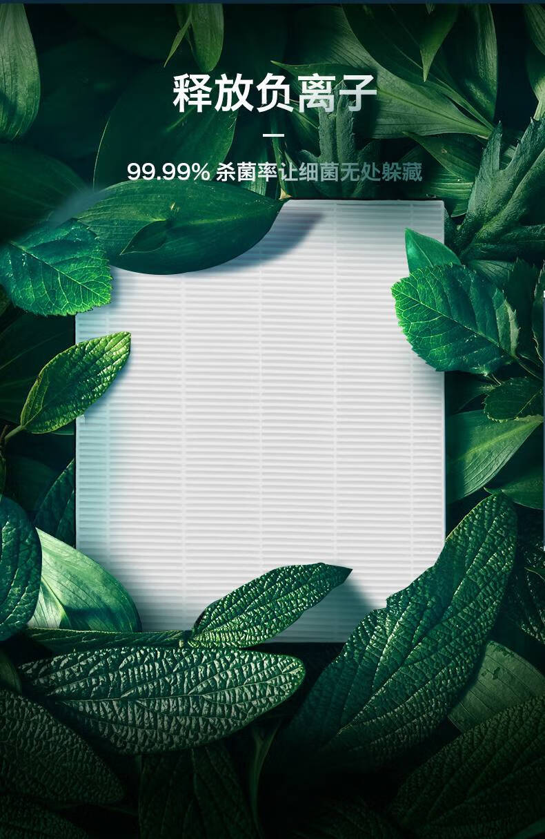 f7026b3ccf707d7a.jpg