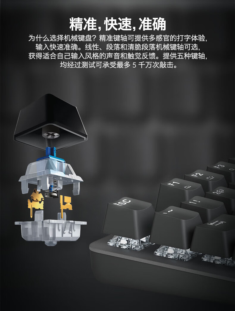 b892f7ec69f791bc.jpg